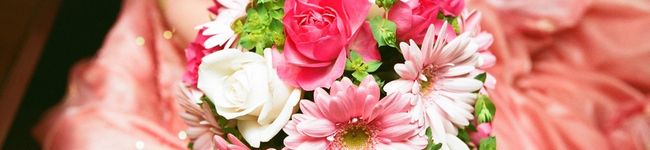 なおぼぉ's header image