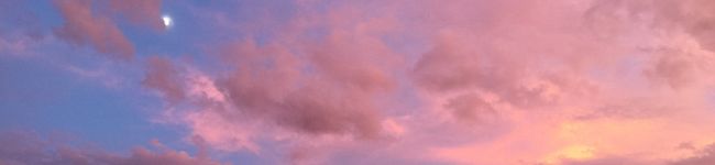 毎日必ずお料理day's header image