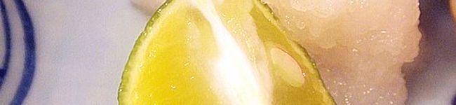 uruga's header image