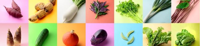 加賀野菜「ベジタン」's header image