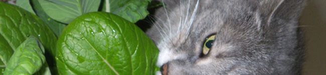 emmynyaa's header image