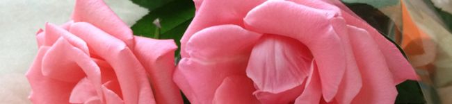 はぁ♪'s header image