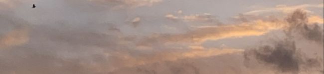 khです's header image