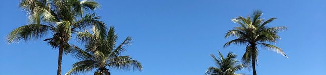 oneofs's header image