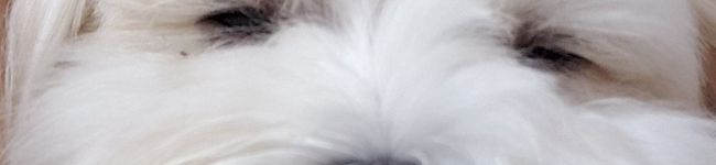 MOKO♡EMI's header image