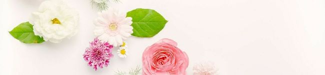 nanoka♡'s header image