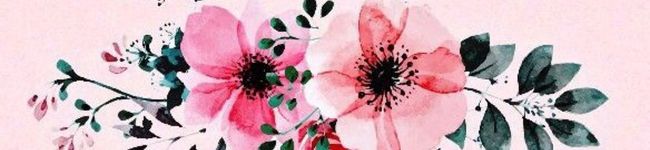 高橋ムームー's header image