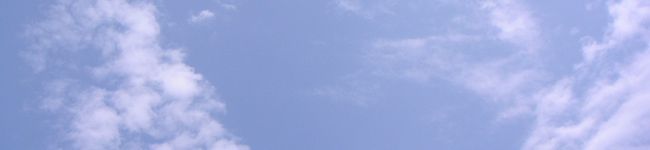 書セラピスト流香's header image