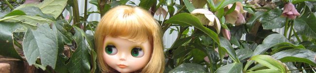 いちごずきん's header image
