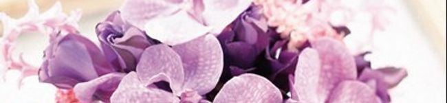 ayanene's header image
