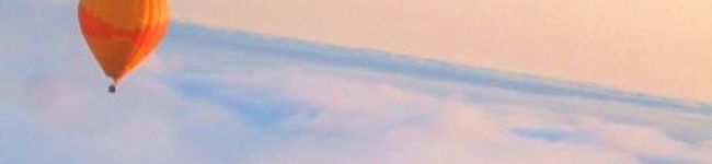 mamenao's header image