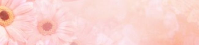 ぽいにーぽいん's header image