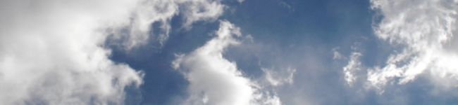misanyaa's header image