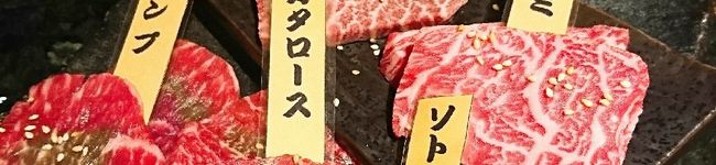 テイ・トーシツ's header image