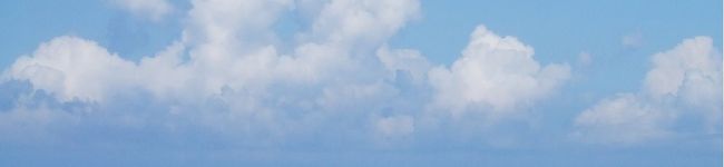 CrazyLife's header image