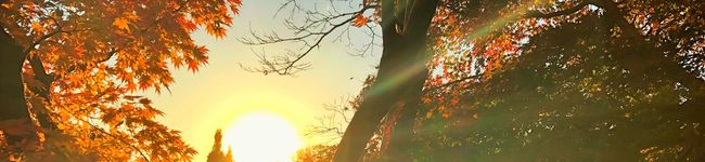 あの日見た花の名前を's header image