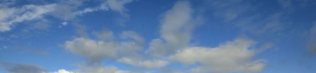 ゆーちゃン's header image
