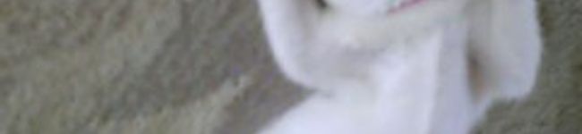 bbnon's header image