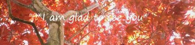 AmeRing's header image