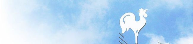 ハル＠スタバ's header image