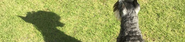 ずんぐ～り's header image