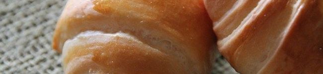 emi emi's header image
