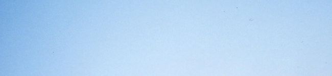 mamel's header image
