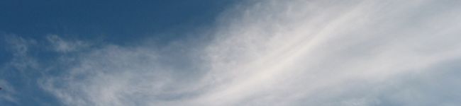 モモタ's header image