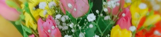 るんちゃん♪♪'s header image