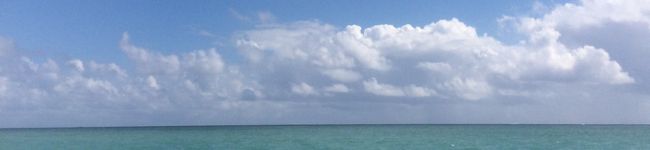 にんじんSAN's header image