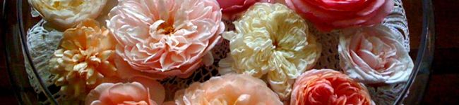 南風♡'s header image