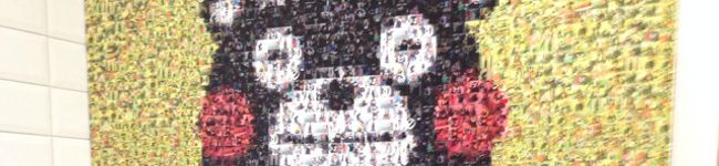 Nikoneko's header image