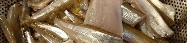 nonotiu's header image
