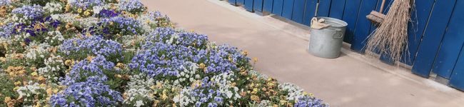 aaassu's header image