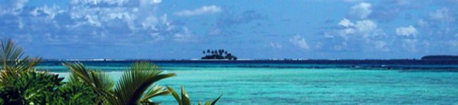  shocola's header image