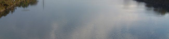 otainimp's header image