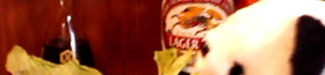 mari・y's header image