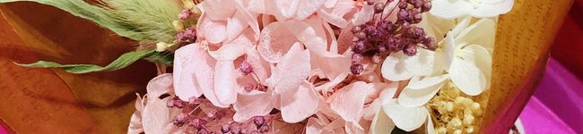 ☆ANNE＊'s header image