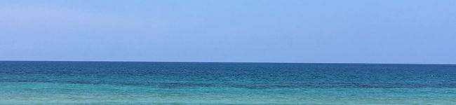 cshmama's header image