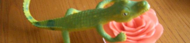 ぽちす's header image