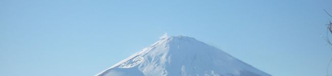 ふゆふゆママ's header image
