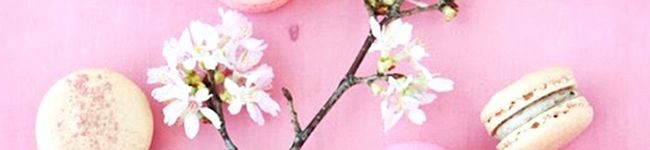 yuki217's header image
