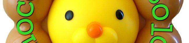 solonoco's header image