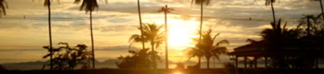 pororot's header image