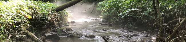食べるまでが釣りだ's header image