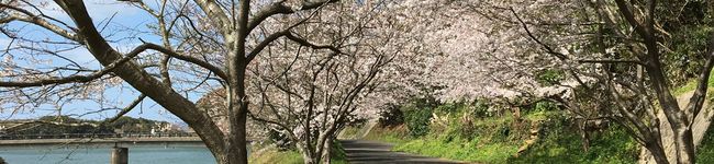さくらりんごはな's header image
