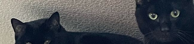 【tre】's header image