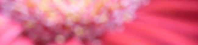 OFU's header image