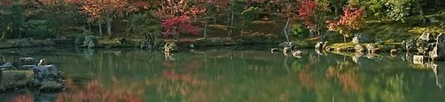まきの店's header image