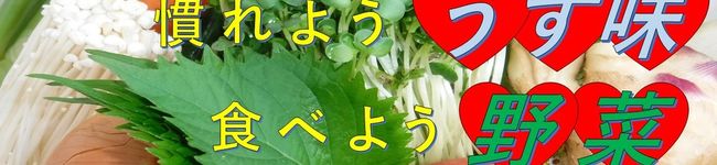 豊後高田市's header image